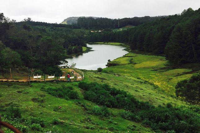 Exploring the Western Ghats: An Ecotourism Haven | Kerala Tour Packages | Paradise Holidays