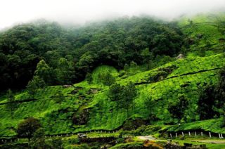 Exploring the Western Ghats: An Ecotourism Haven | Kerala Tour Packages | Paradise Holidays