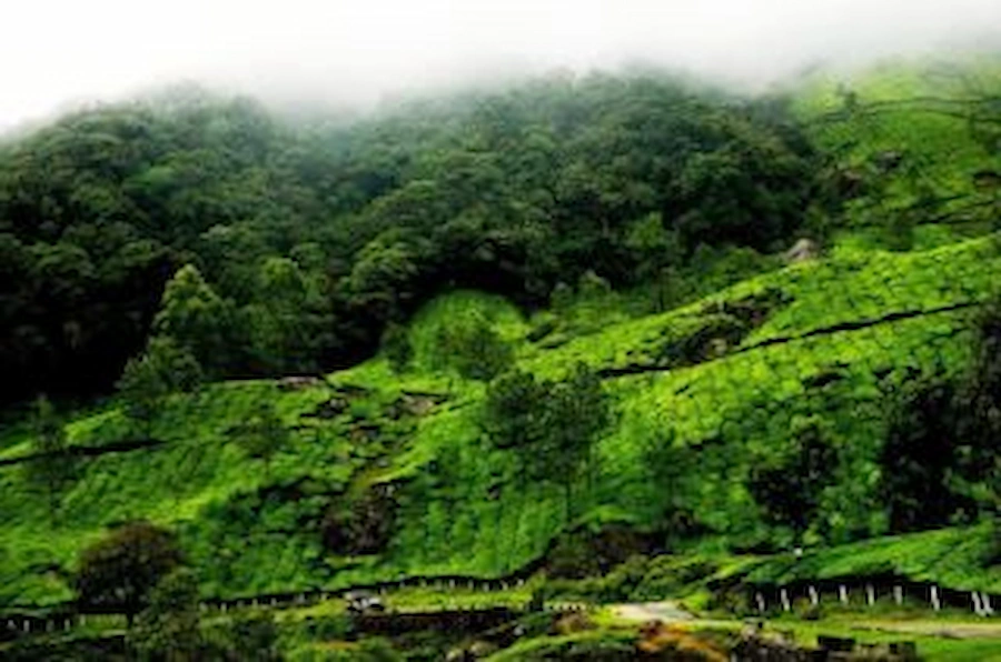 Western-Ghats-Header