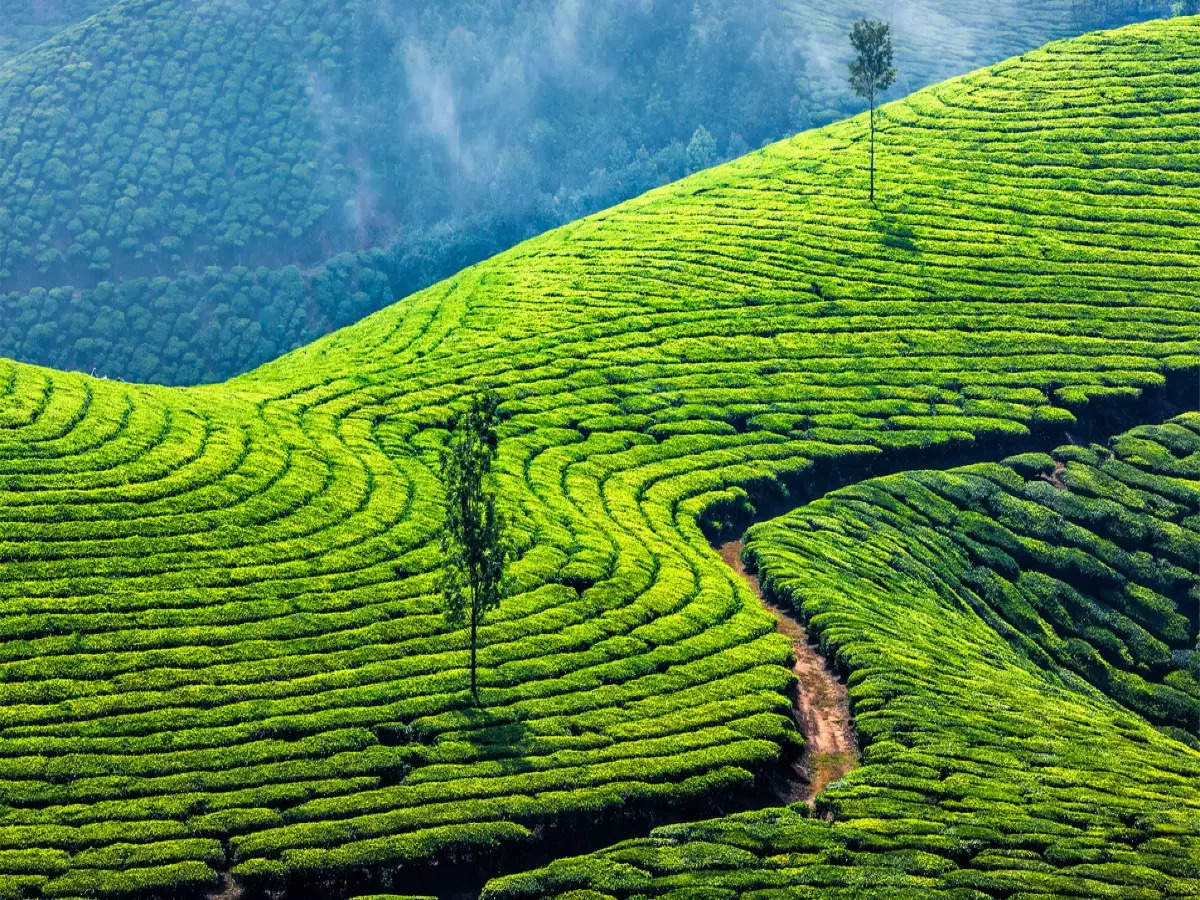 9 Days Kerala Tour package