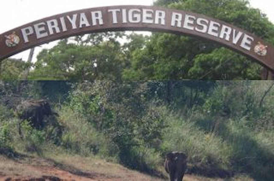 Periyar-Tiger-Reserve-Header