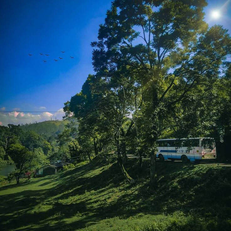 Lush green forests of Gavi in Pathanamthitta – Kerala tour packages