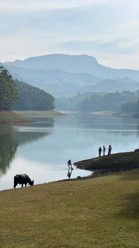 Boating at Mattupetty Dam in Munnar Kerala honeymoon tour