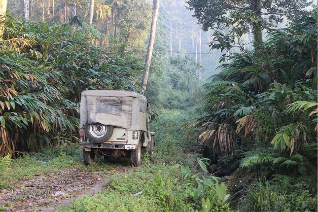 Jeep safari in Gavi forest – Adventure in Thekkady Kerala
