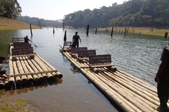 Bamboo rafting in Periyar Tiger Reserve – Thekkady adventure activity