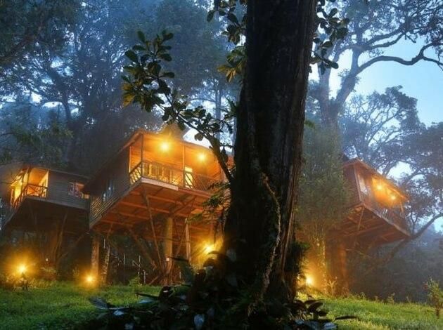 Hill resort in Kerala with misty February morning