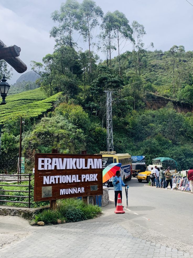 Eravikulam national park Munnar summer landscape