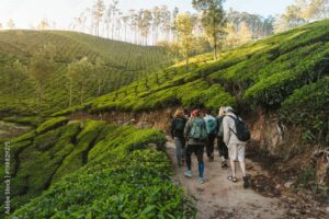 cheap Kerala tour packages summer travel concept