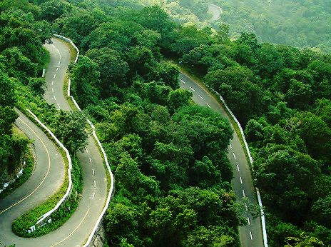Wayanad green landscape summer travel Kerala