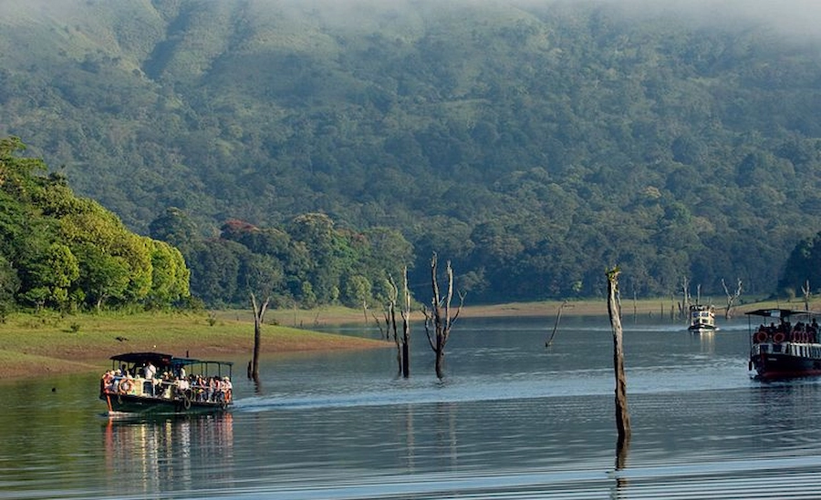 thekkady-forest-lake-view