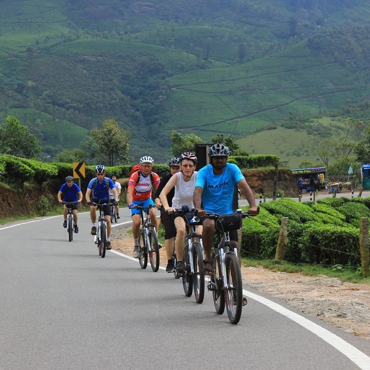 Munnar group trip Kerala summer vacation