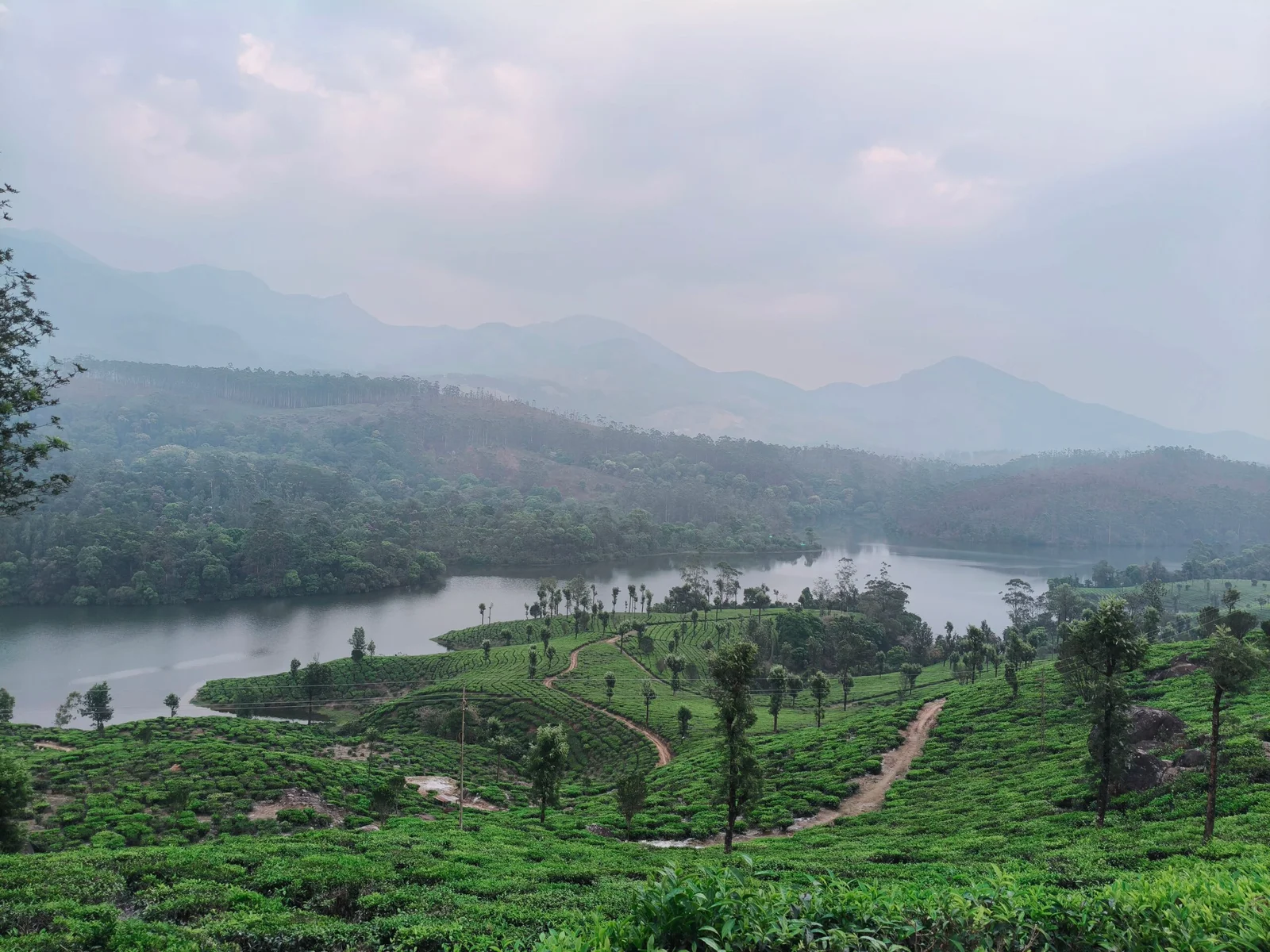 Kerala Discovery