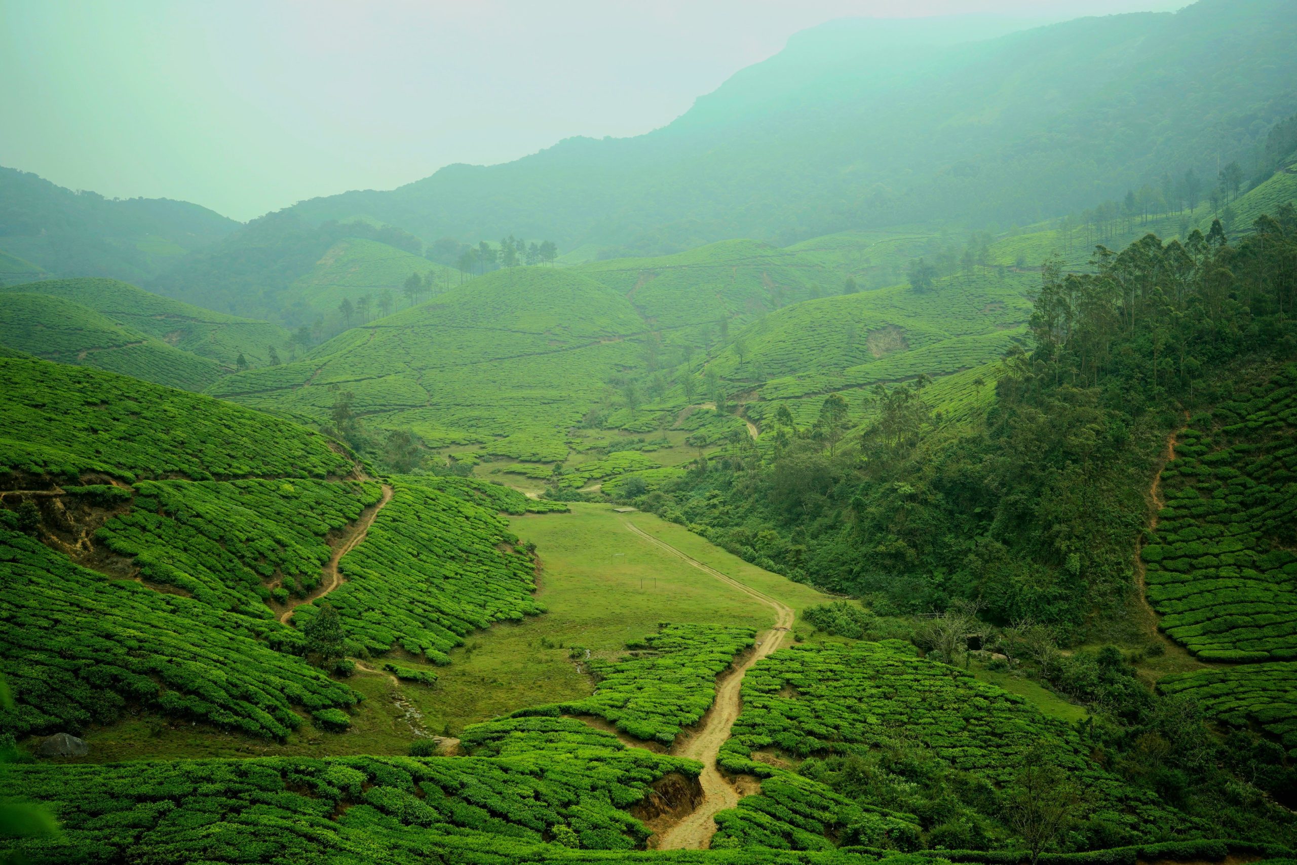The Rise of Private Wellness Retreats in Kerala’s Hills