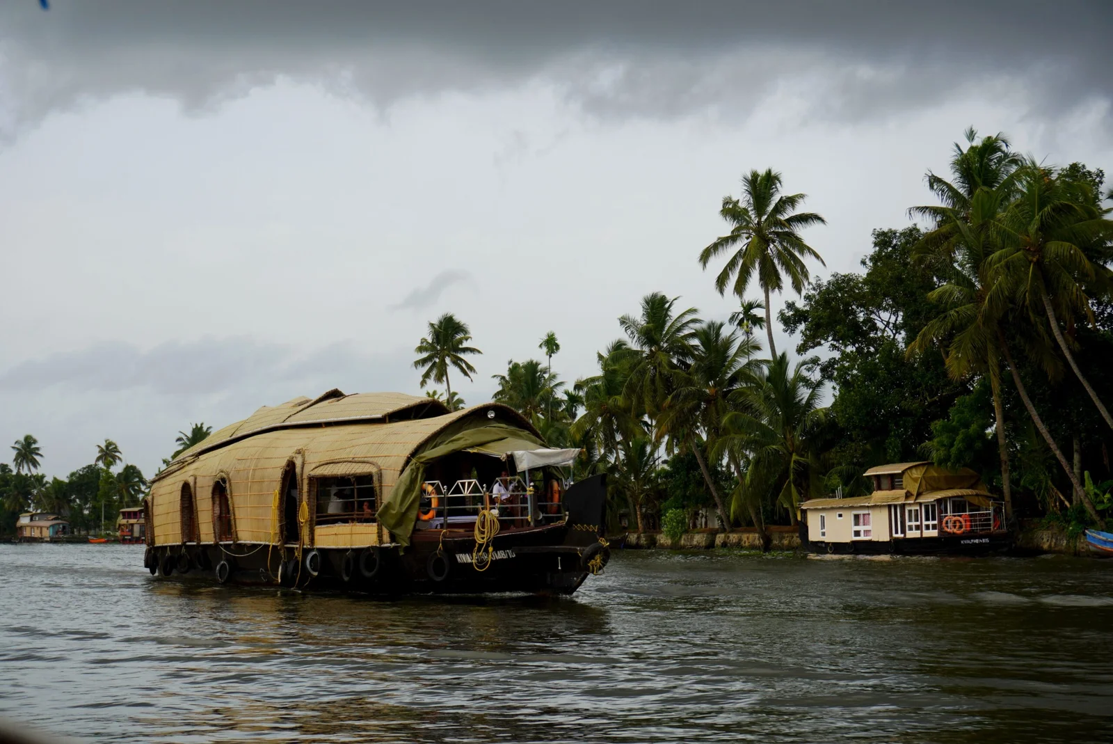 Backwater Paradise
