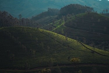 Best Places to See the First Rains in June