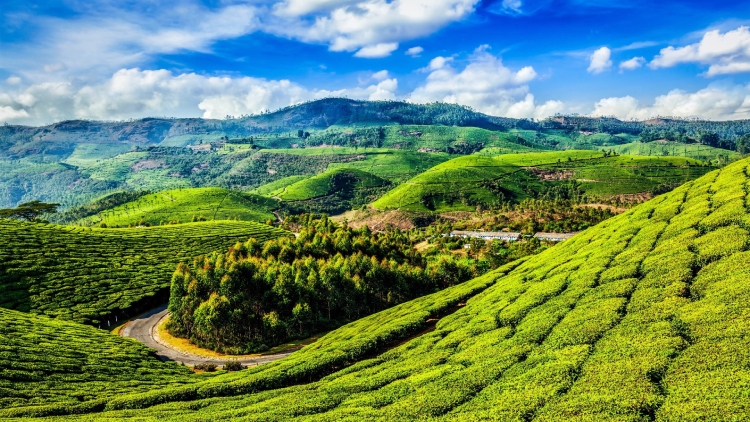 kerala