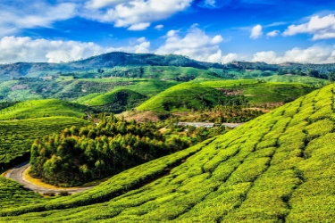 kerala