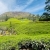 Munnar