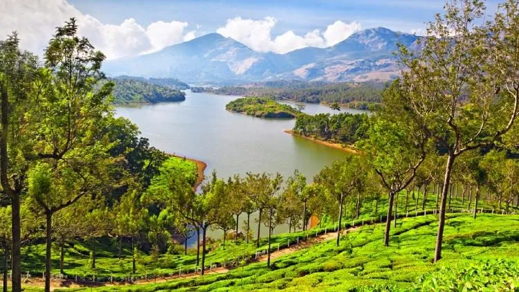Munnar + Thekkady Itinerary