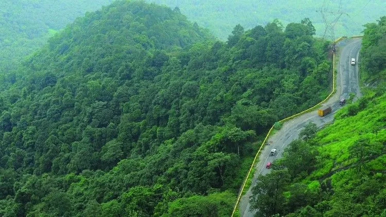 4 Nights / 5 Days Munnar Itinerary