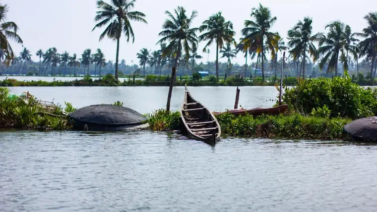 Cruise the Backwaters in Alleppey