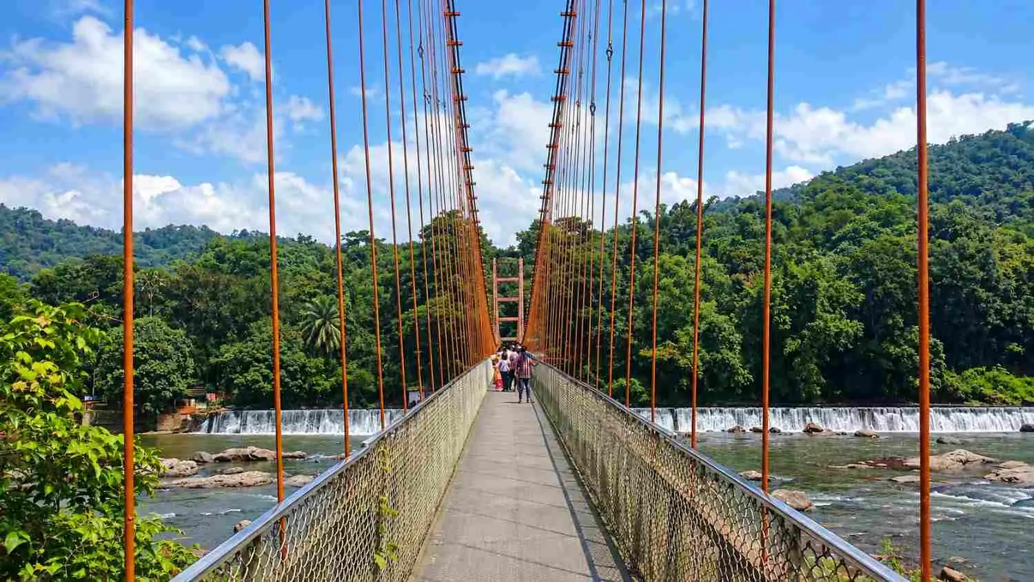 Thumboormuzhi Hanging Bridge & Butterfly Park
