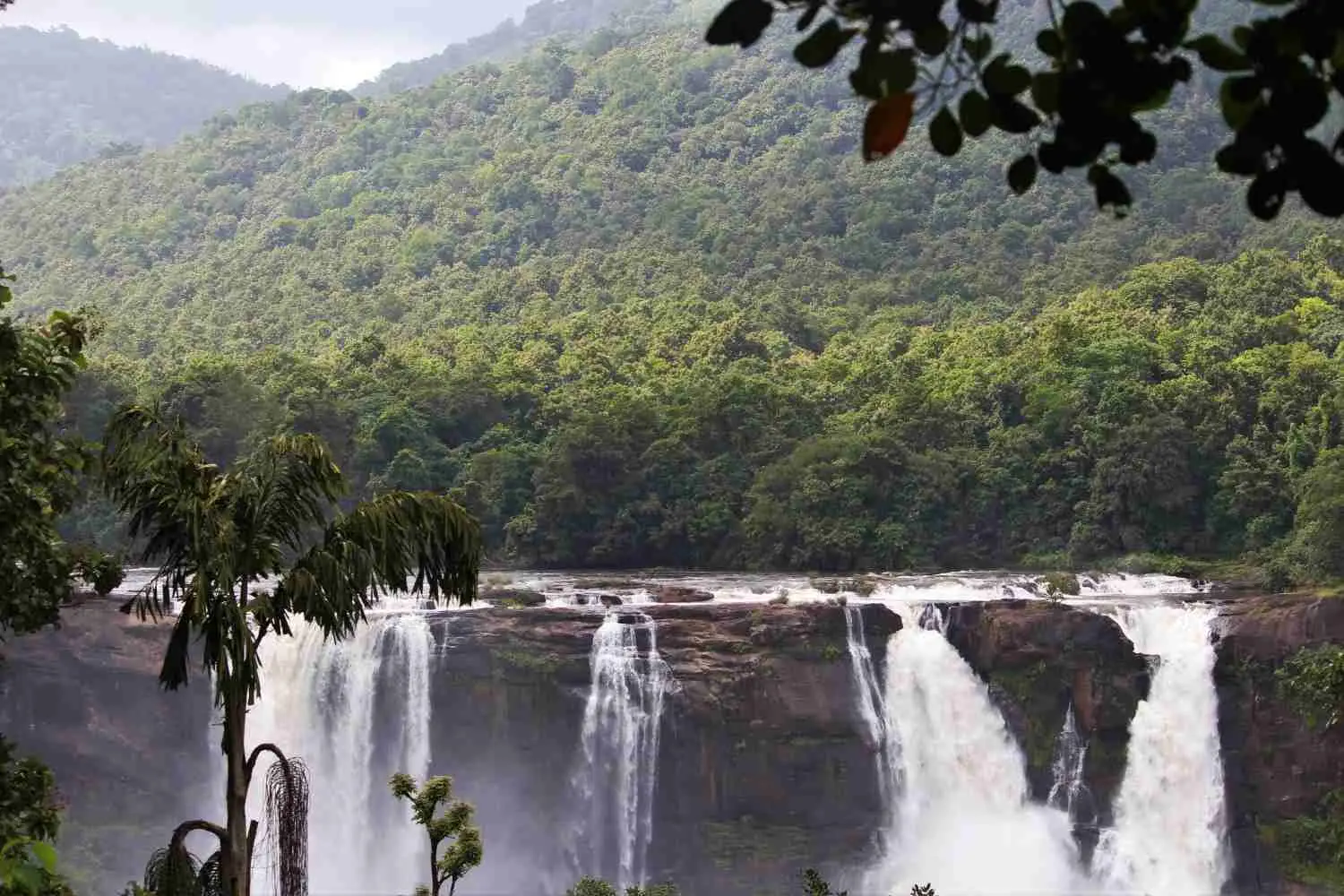 2 Nights / 3 Days Athirappilly Itinerary