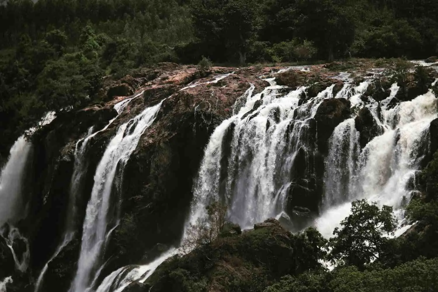 3 Nights / 4 Days Athirappilly + Thrissur Itinerary