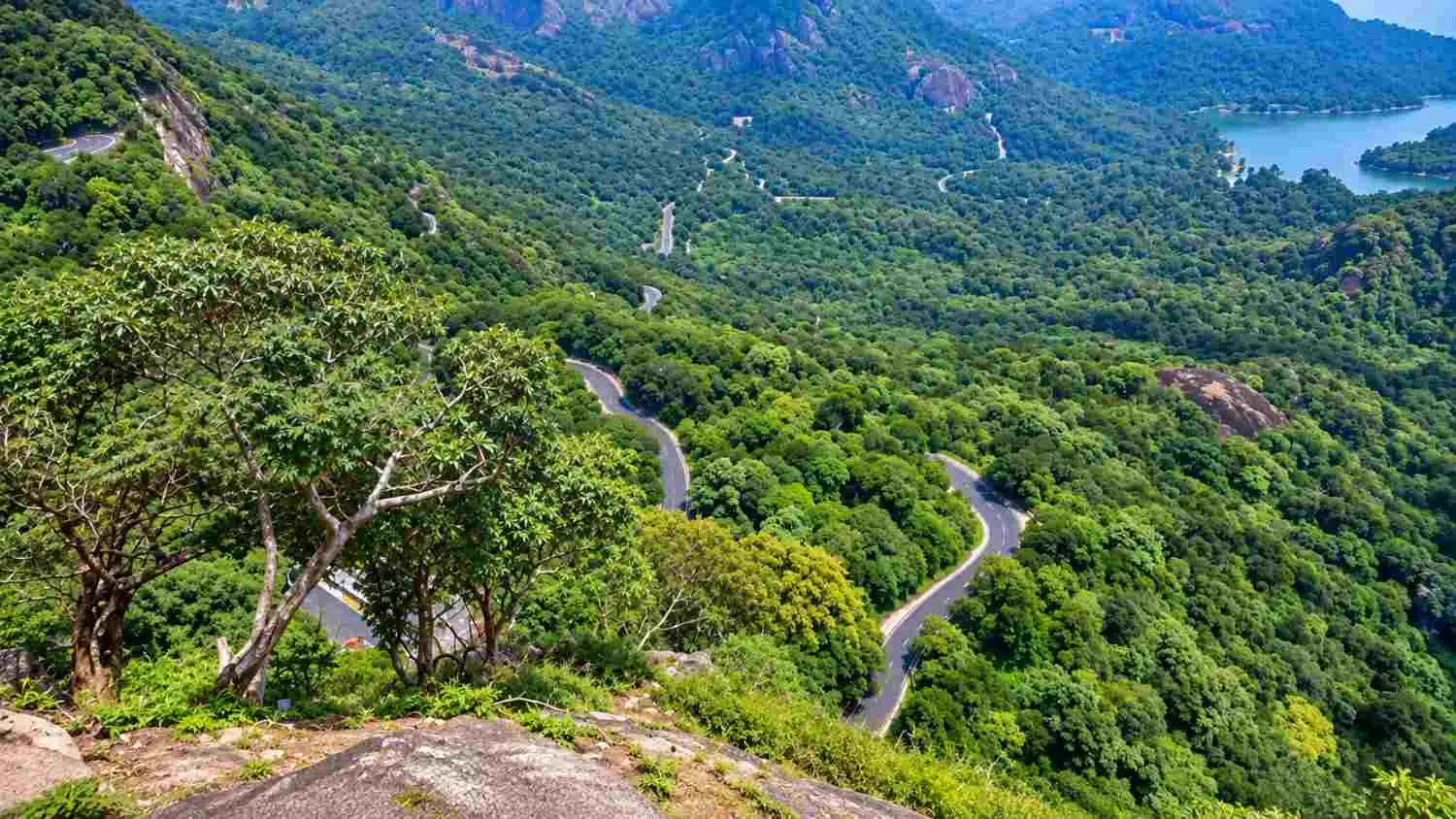 2 Nights / 3 Days Athirappilly & Sholayar Safari