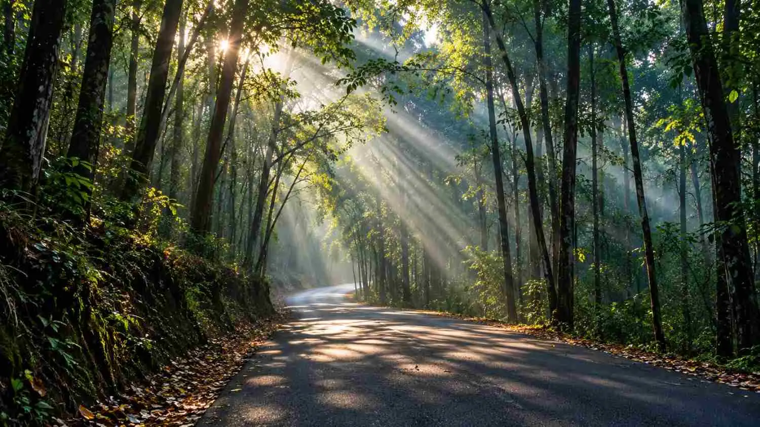The Scenic Drive to Gavi