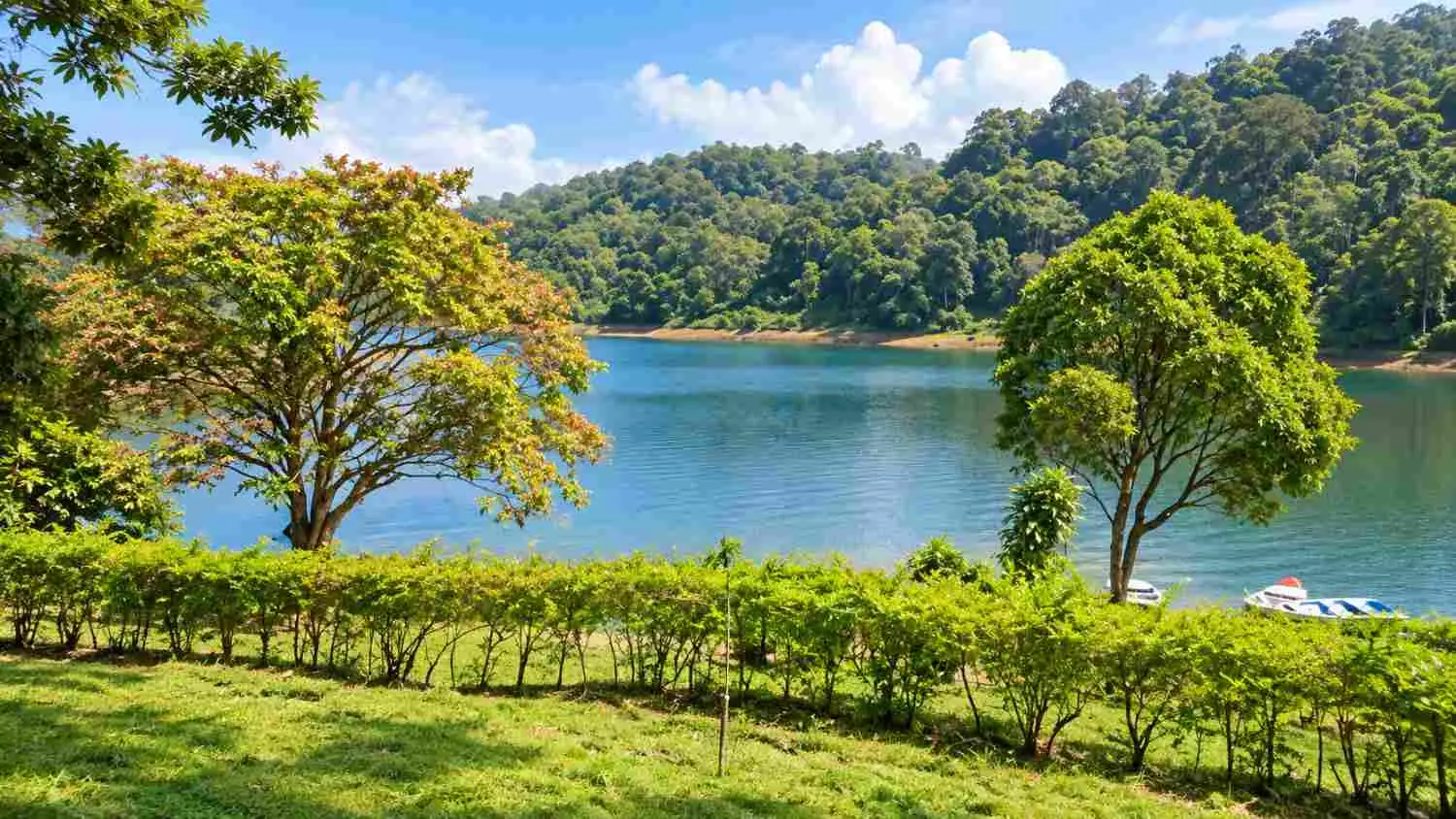 Kochupampa Lake