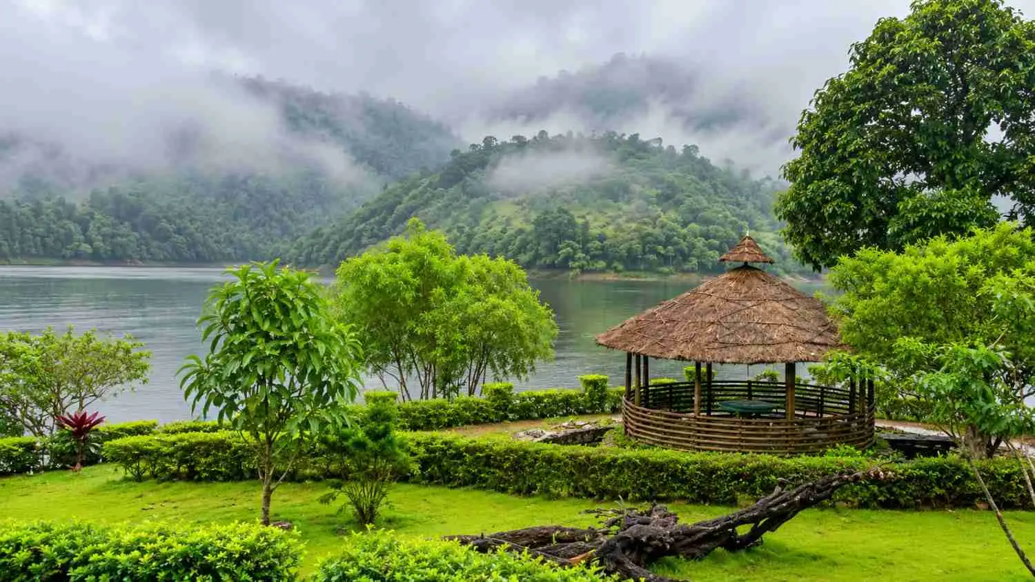Paradise Cove, Ninnumulli