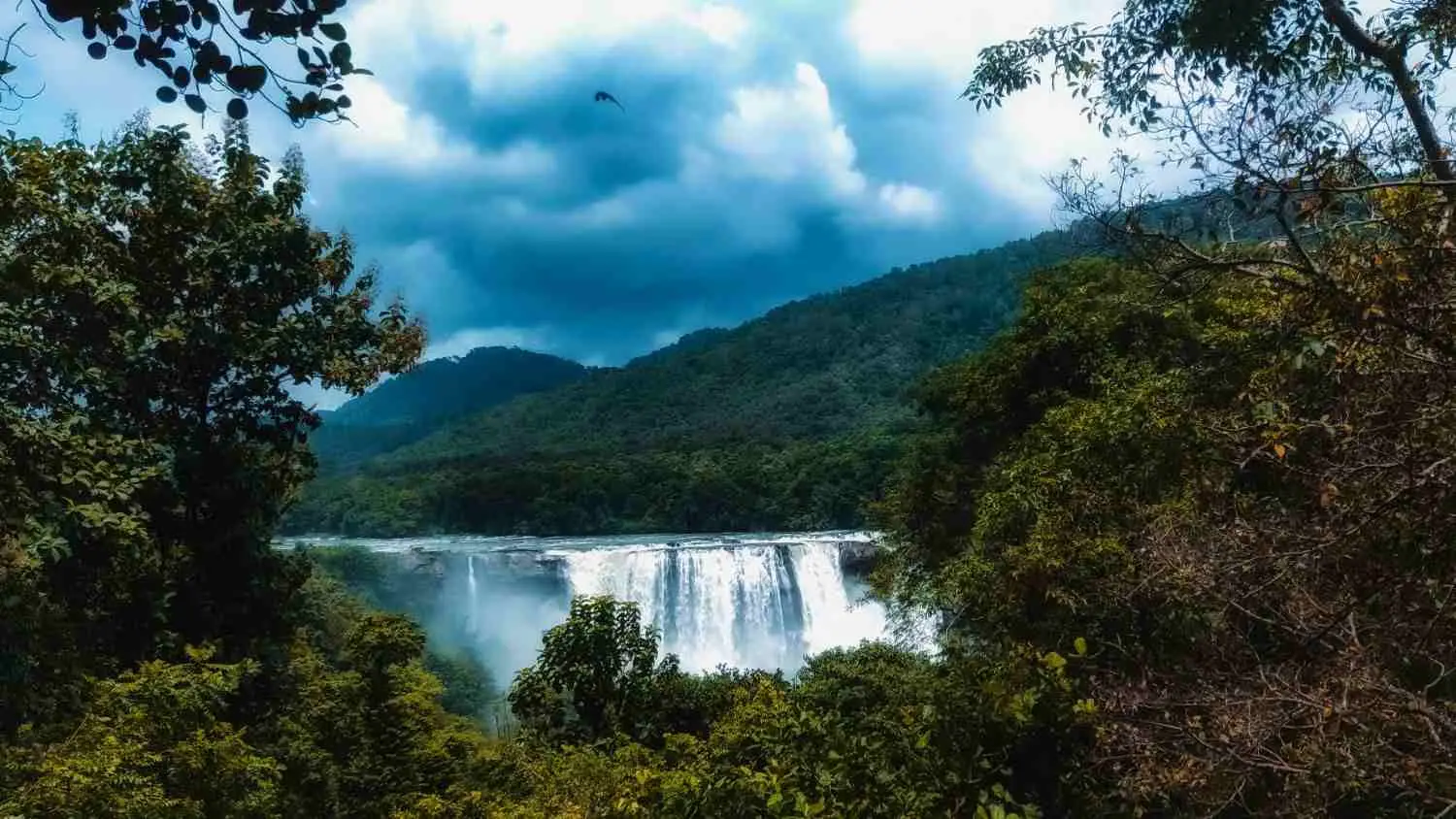 Athirappilly Falls (day trip)