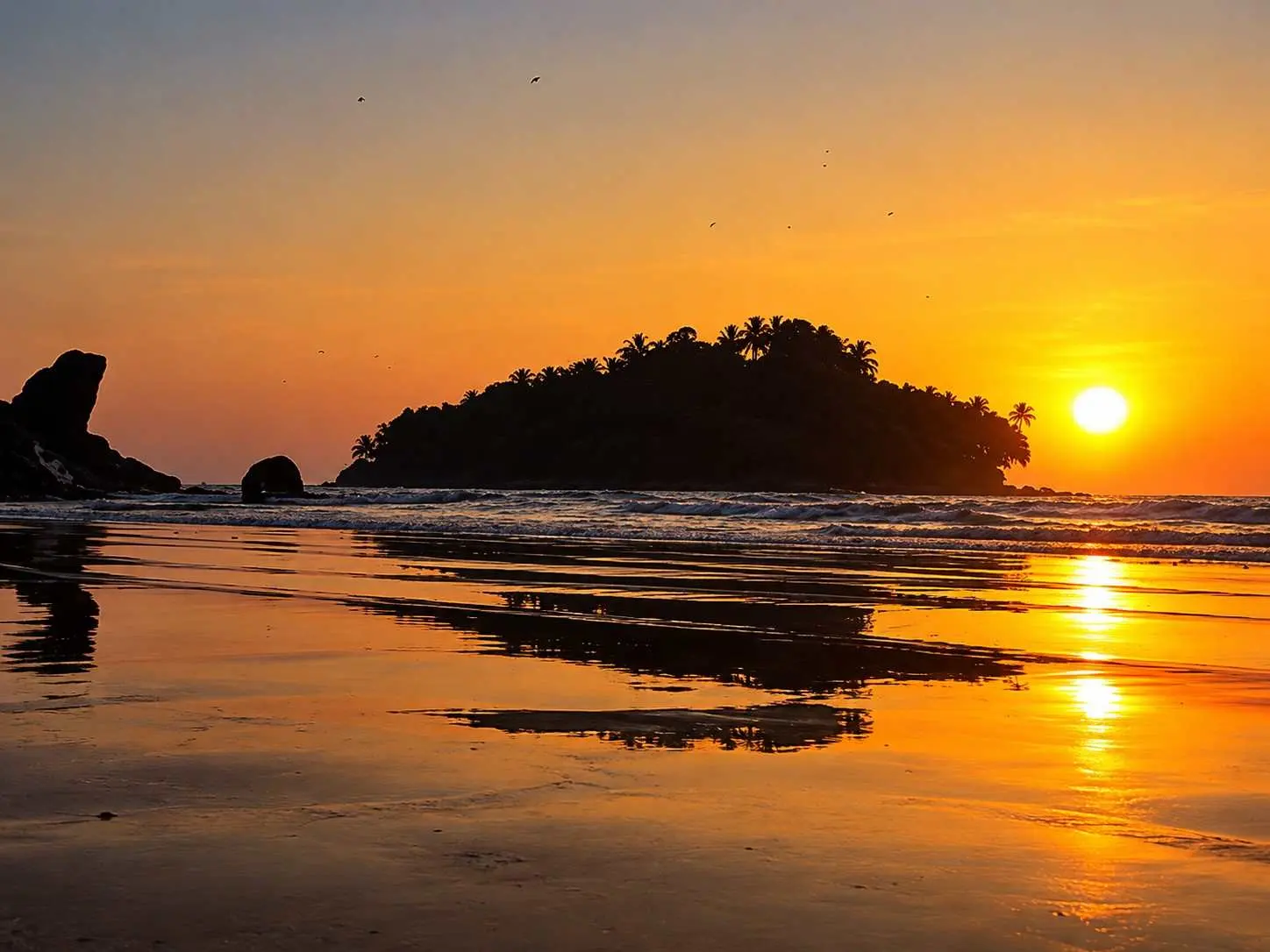 Walk to Dharmadam Island