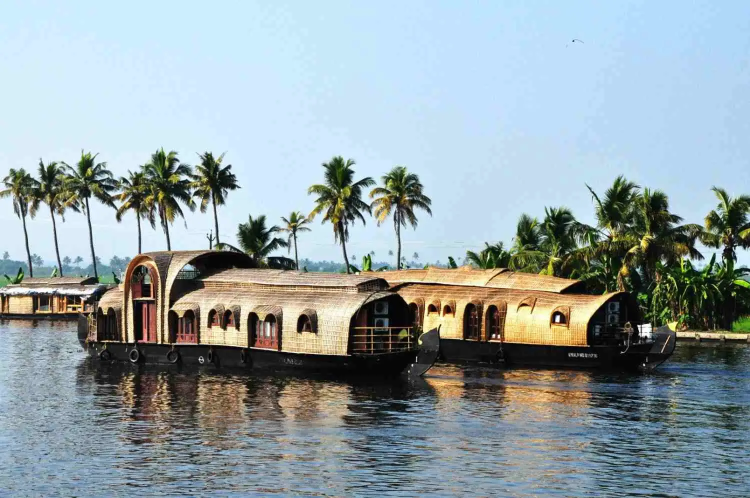 Kovalam + Alleppey Itinerary
