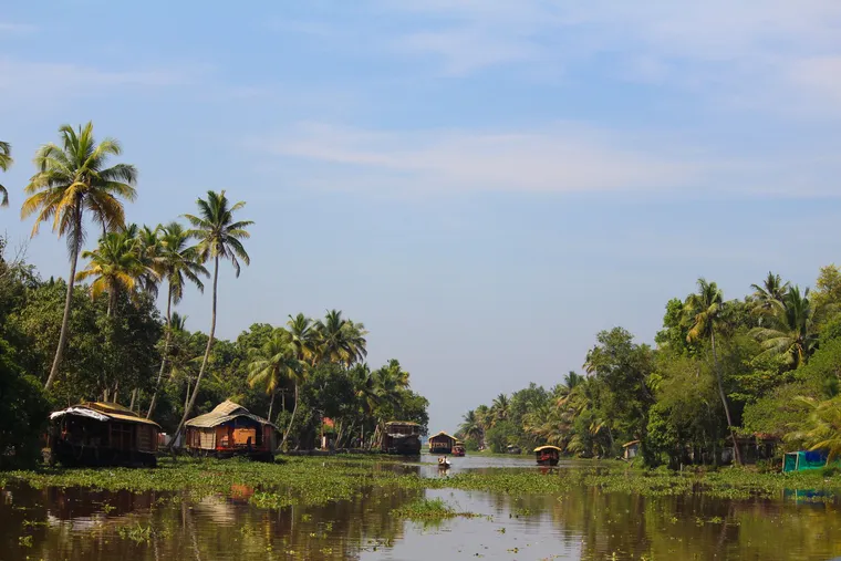 Coconut-lined Backwater Canals