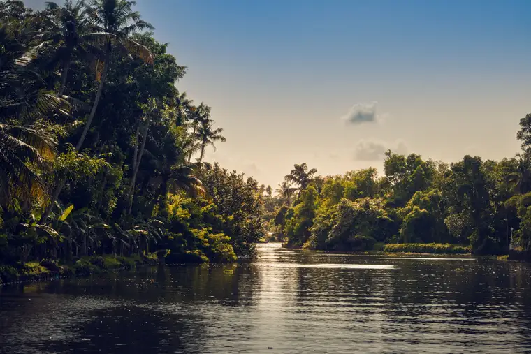 2 Nights / 3 Days Kumarakom Itinerary