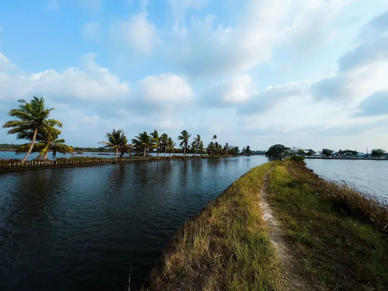 3 Nights / 4 Days Backwaters & Birdlife Exploration