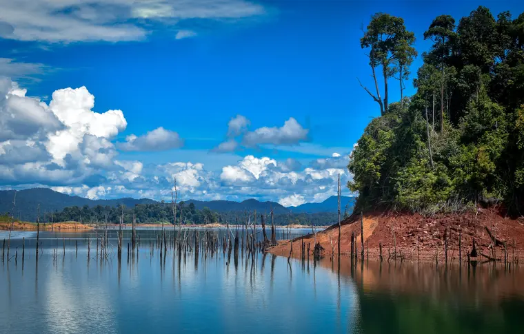 Kumarakom + Thekkady Itinerary