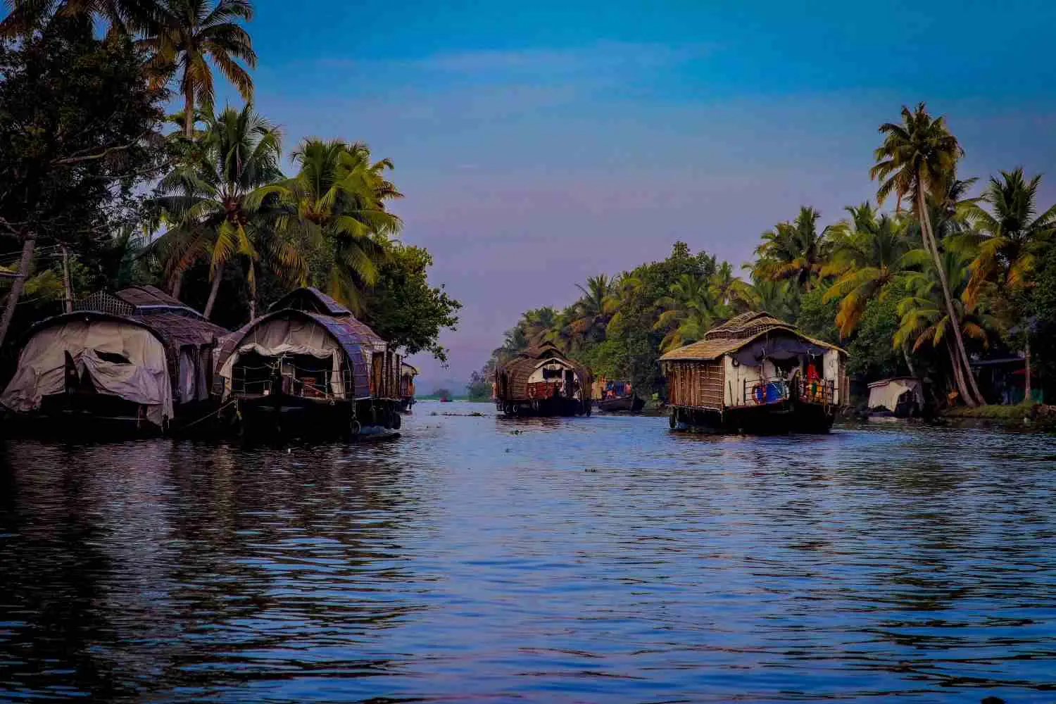 Alleppey Backwaters & Houseboat Cruises