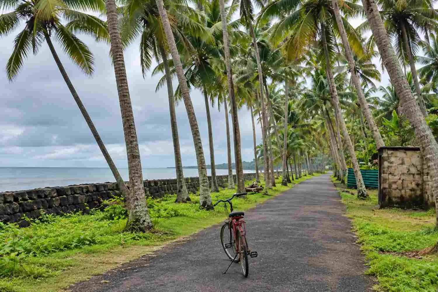 Village Cycling & Walking Tours
