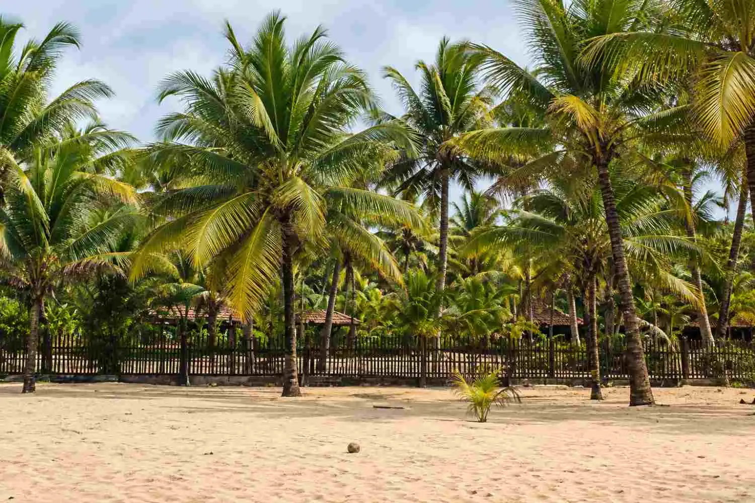 3 Nights / 4 Days Mararikulam Itinerary