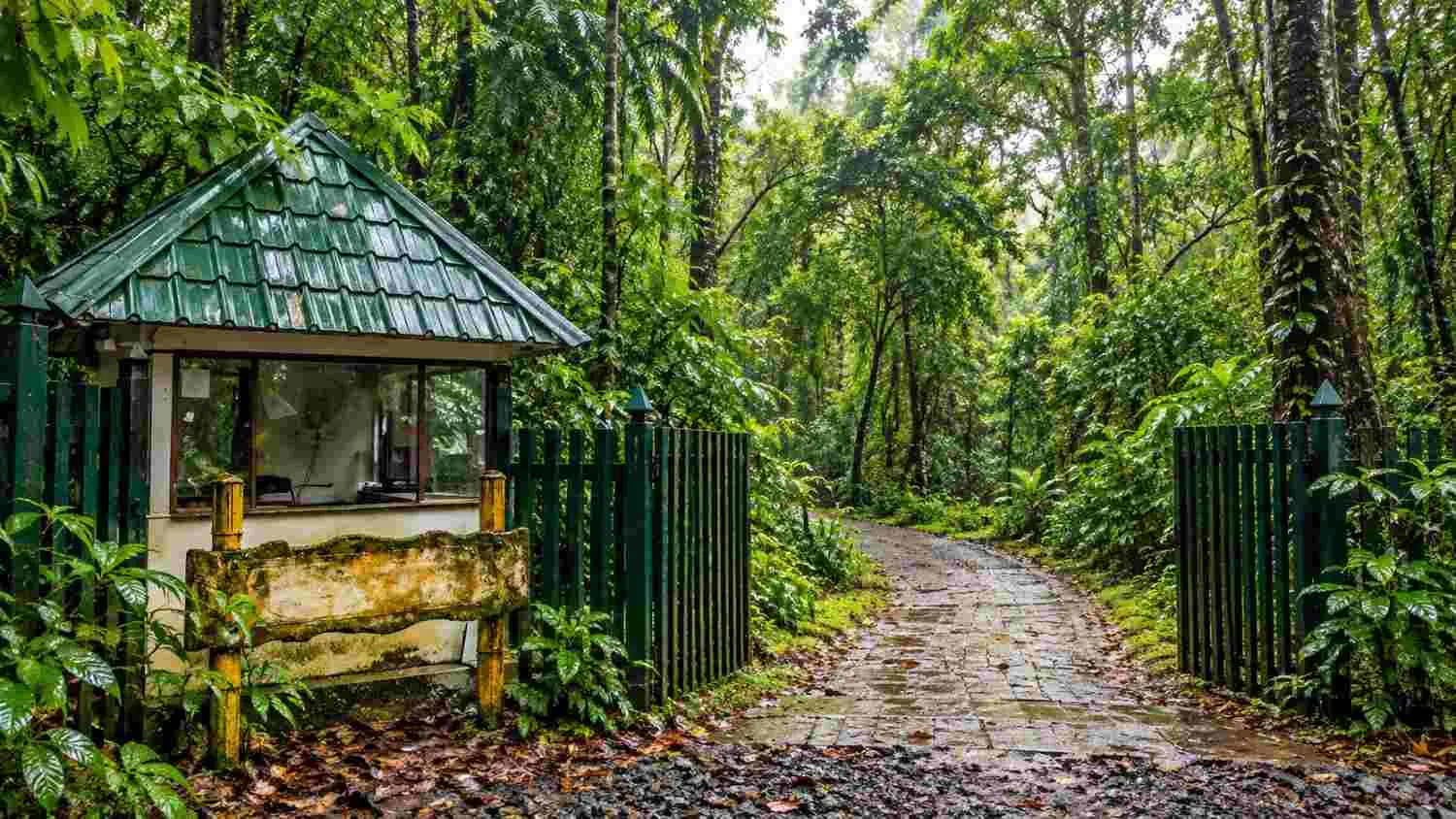 Kumarakom Bird Sanctuary (day trip)
