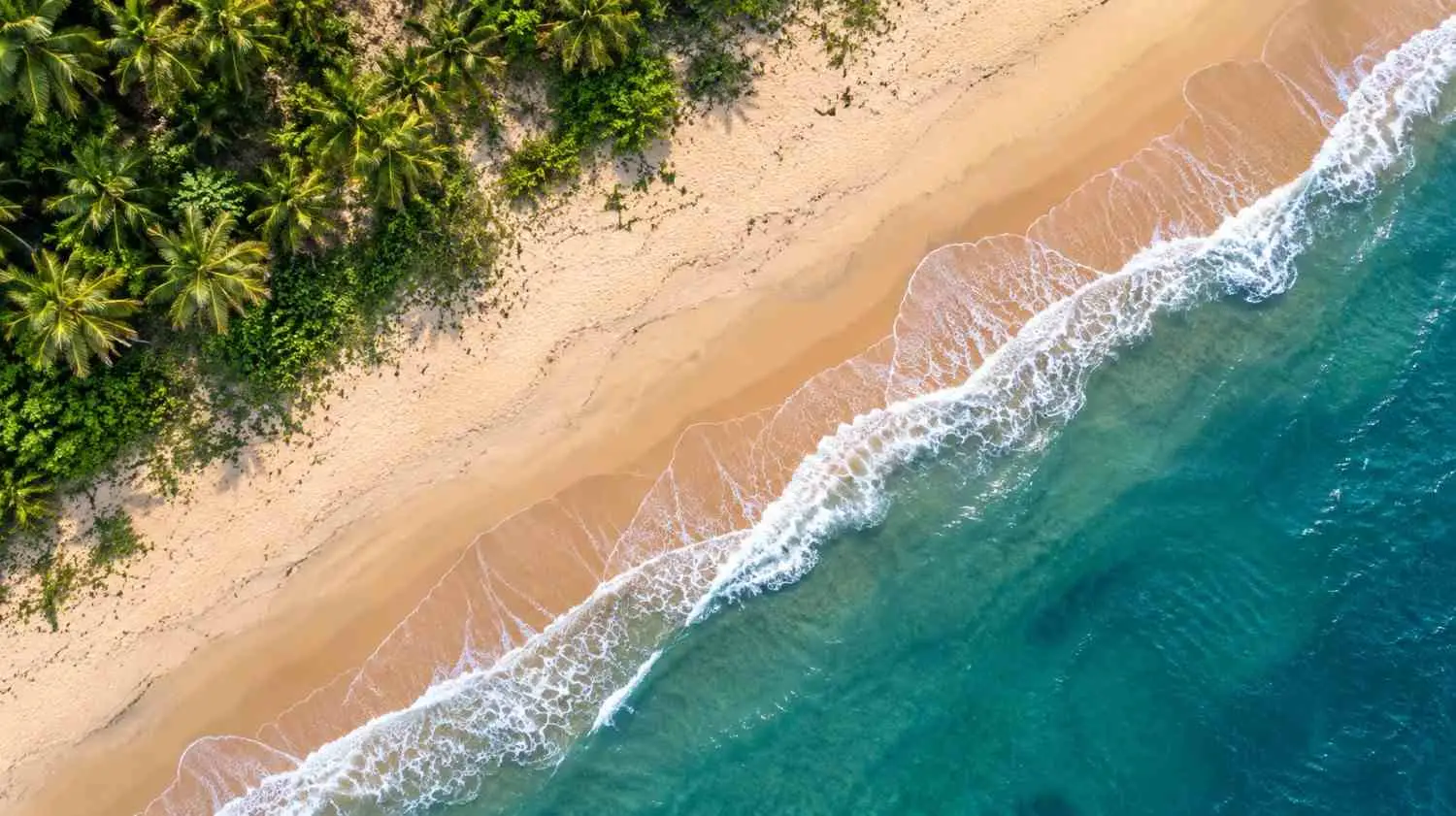 2 Nights / 3 Days Mararikulam Beach Break