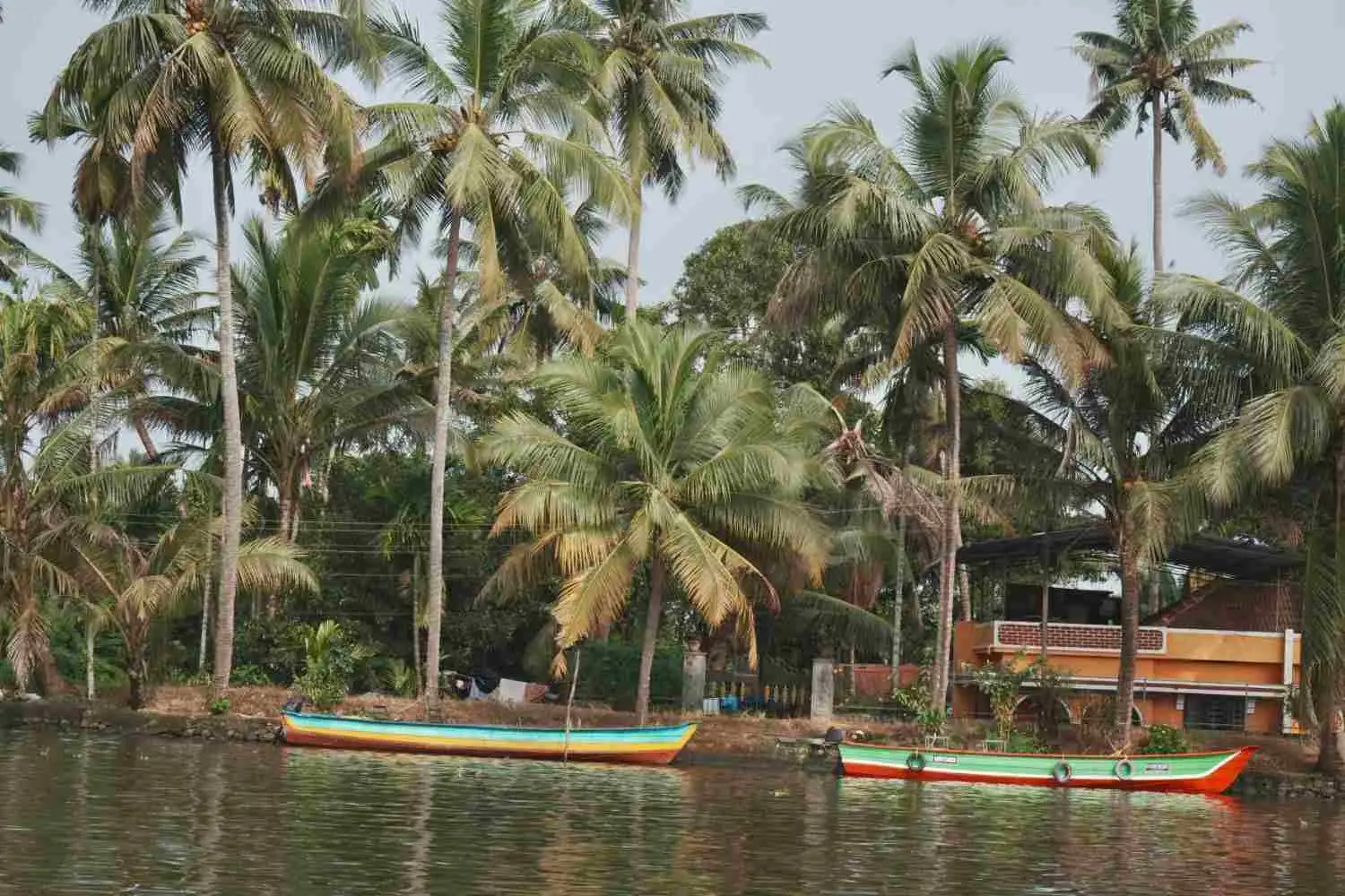 3 Nights / 4 Days Mararikulam Backwater Escape
