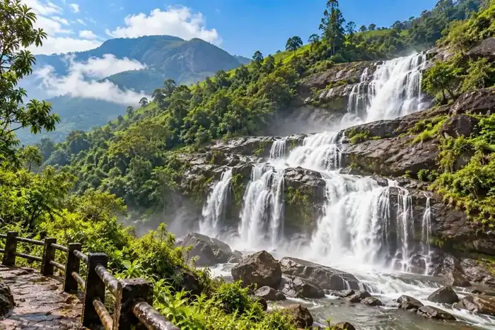 Cascading Waterfalls & Streams