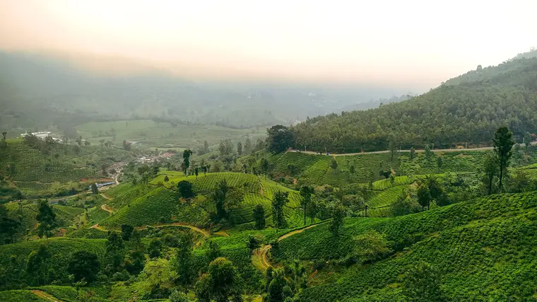 Pothamedu View Point