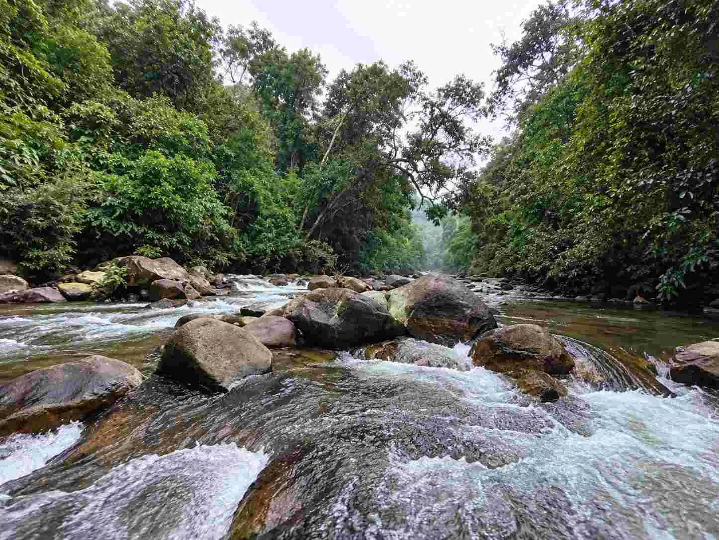 Kallar