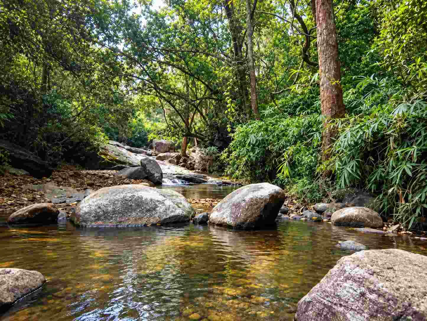 Kallar