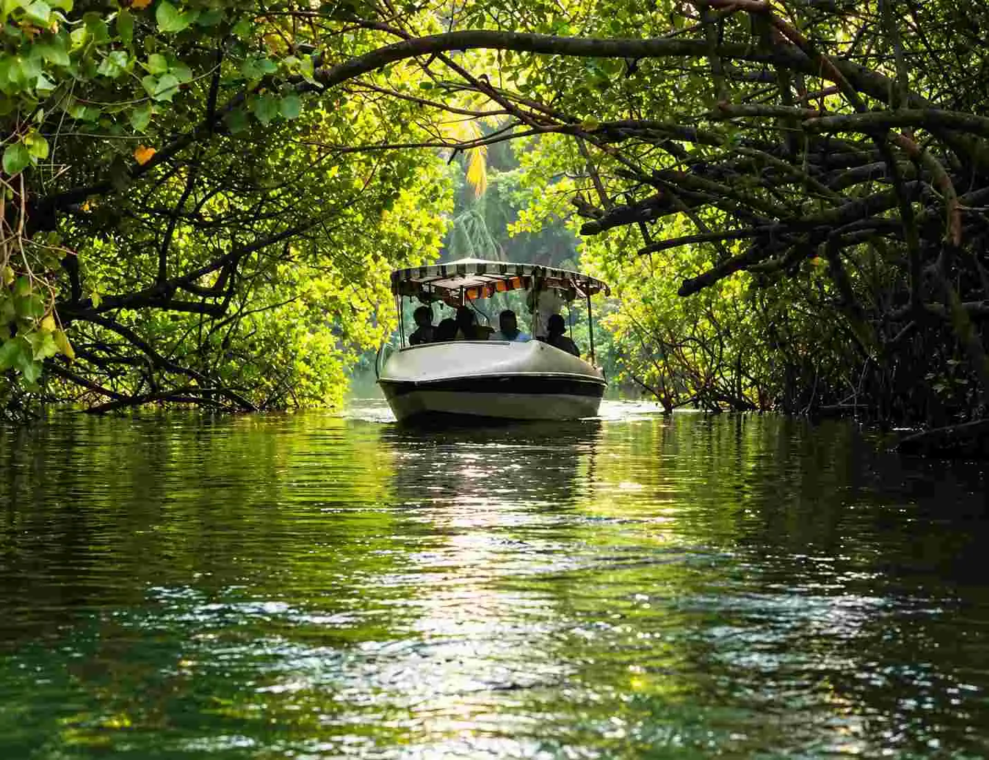 Poovar Backwaters